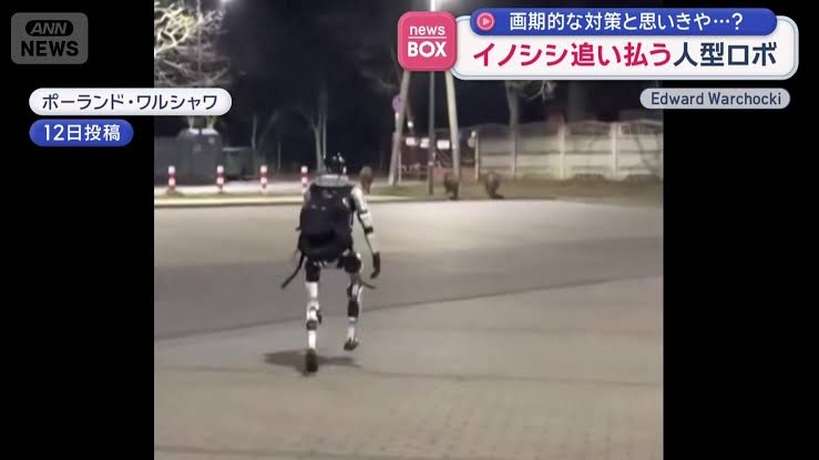 中野信子氏、遺体遺棄事件報道に苦言「お母さんは子供がいたら再婚するなっていうメッセージですか？」