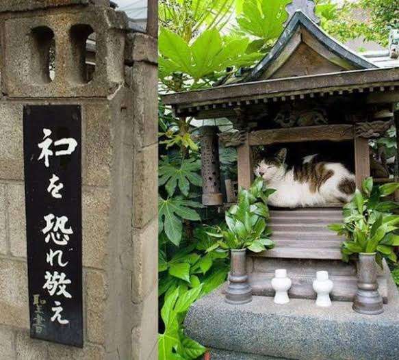 りんたろー。ブルドッグにかまれたと報告も…飼い主の態度にネット驚き「ありえない…」「ウソでしょ？」