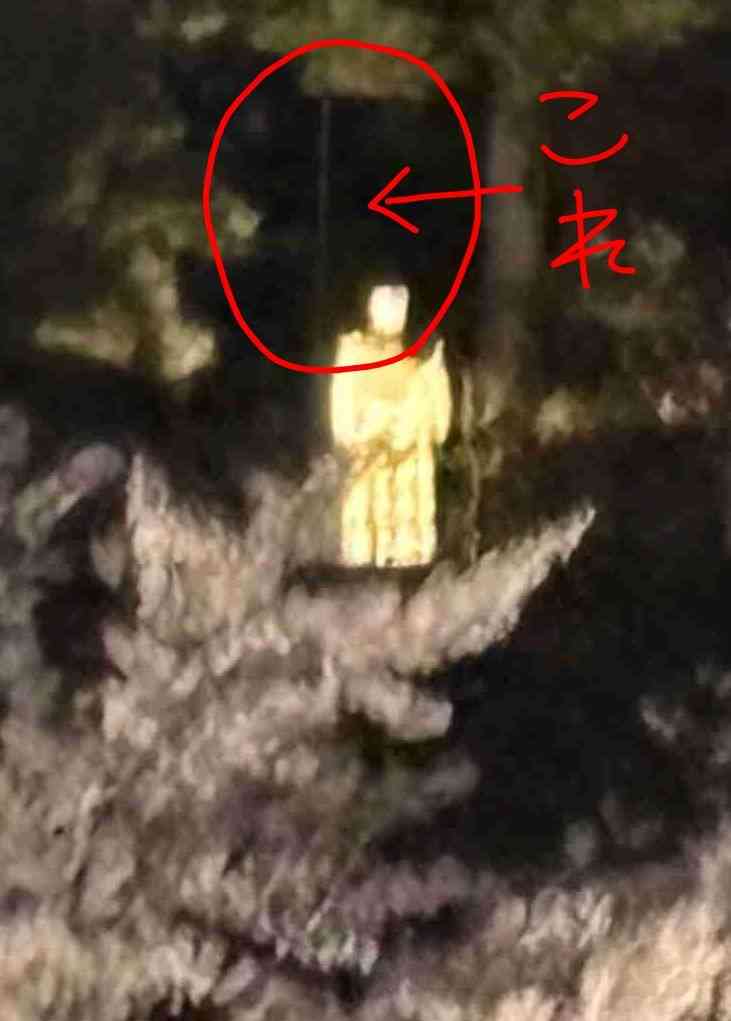 【UMA?】不思議なものが撮れたんだが見てくれ