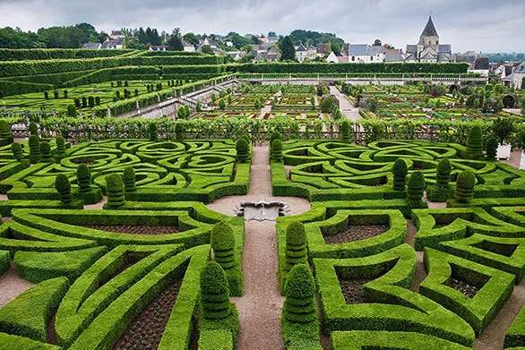 米国の富豪、動物狩猟ツアー中にゾウに襲われ死亡