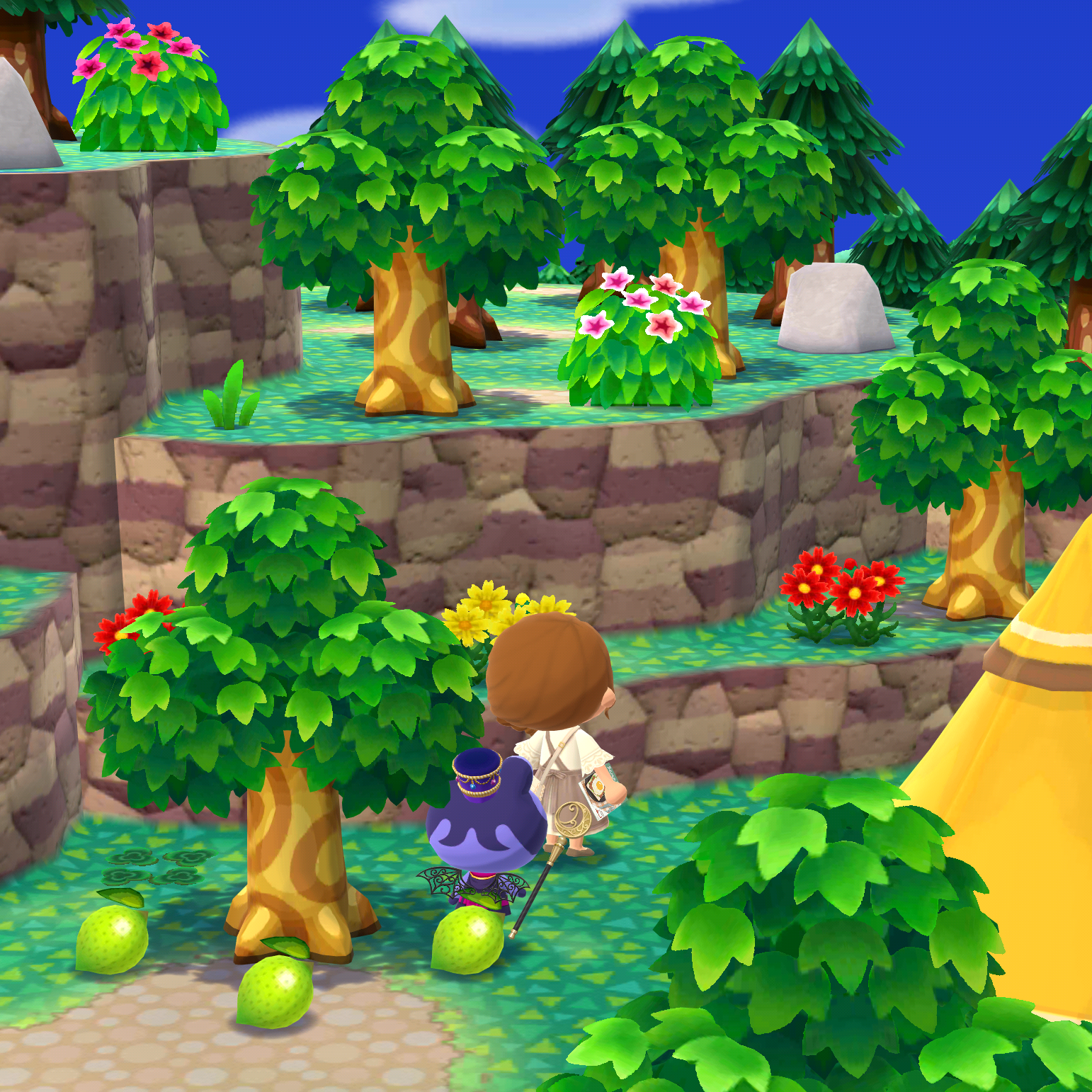 【ポケ森】どうぶつの森 ポケットキャンプ コンプリート【part100✨】
