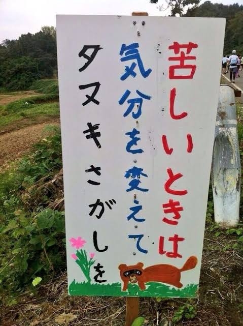 狸について知ってる事