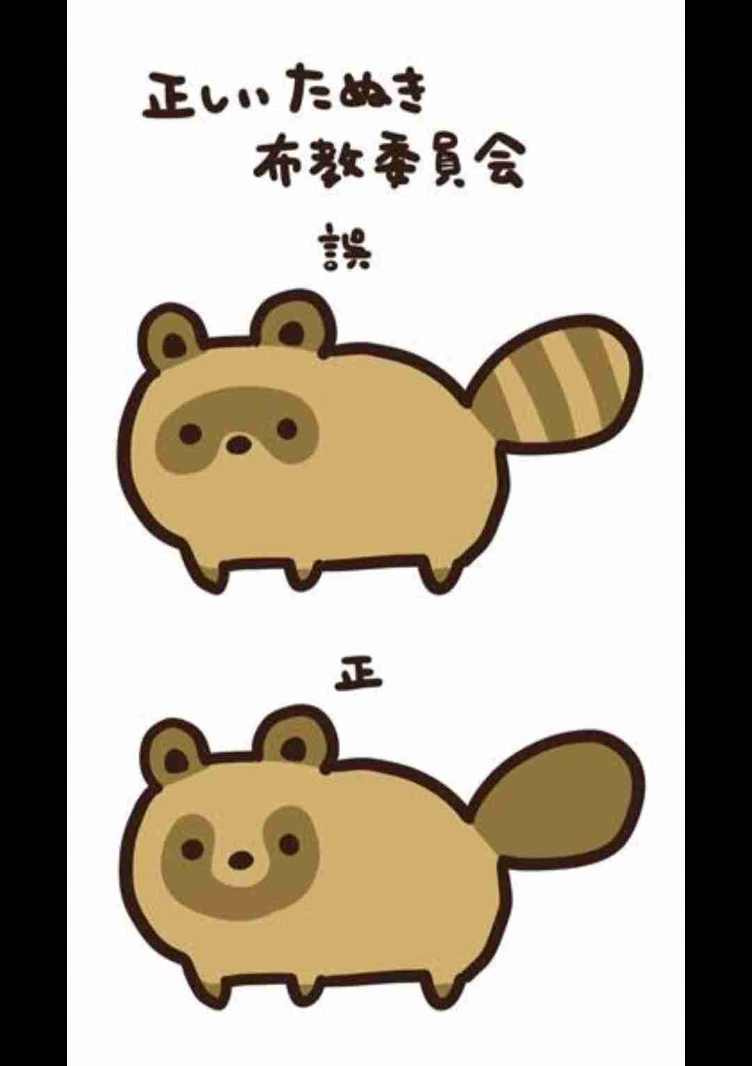 狸について知ってる事