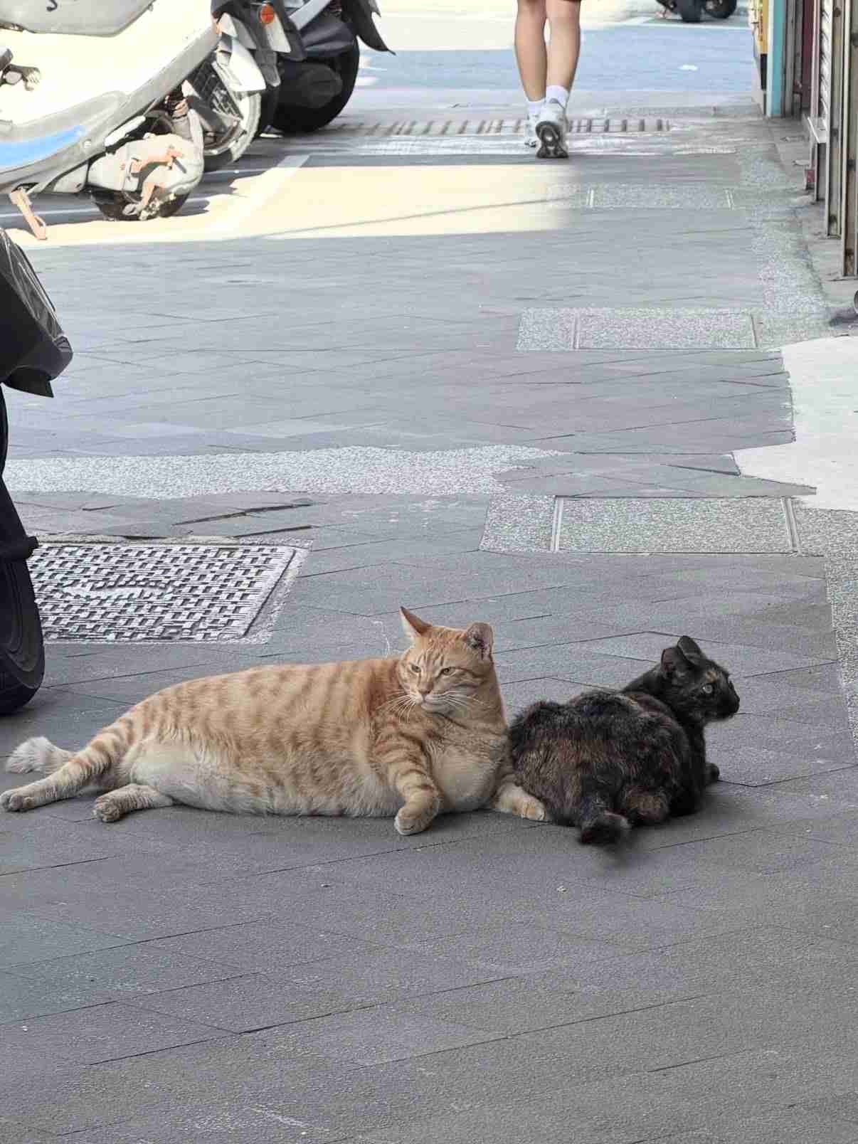 夫の好きなタイプが自分と真逆