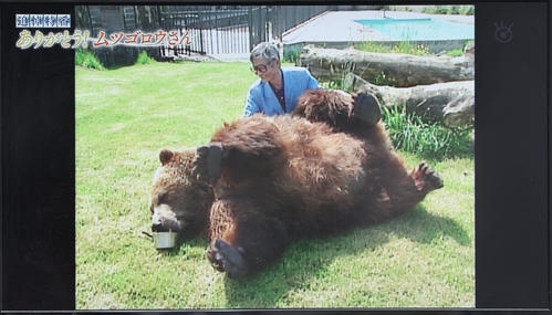東京はすでにクマに囲まれている…専門家が「ここまで侵入する可能性がある」と警鐘を鳴らす