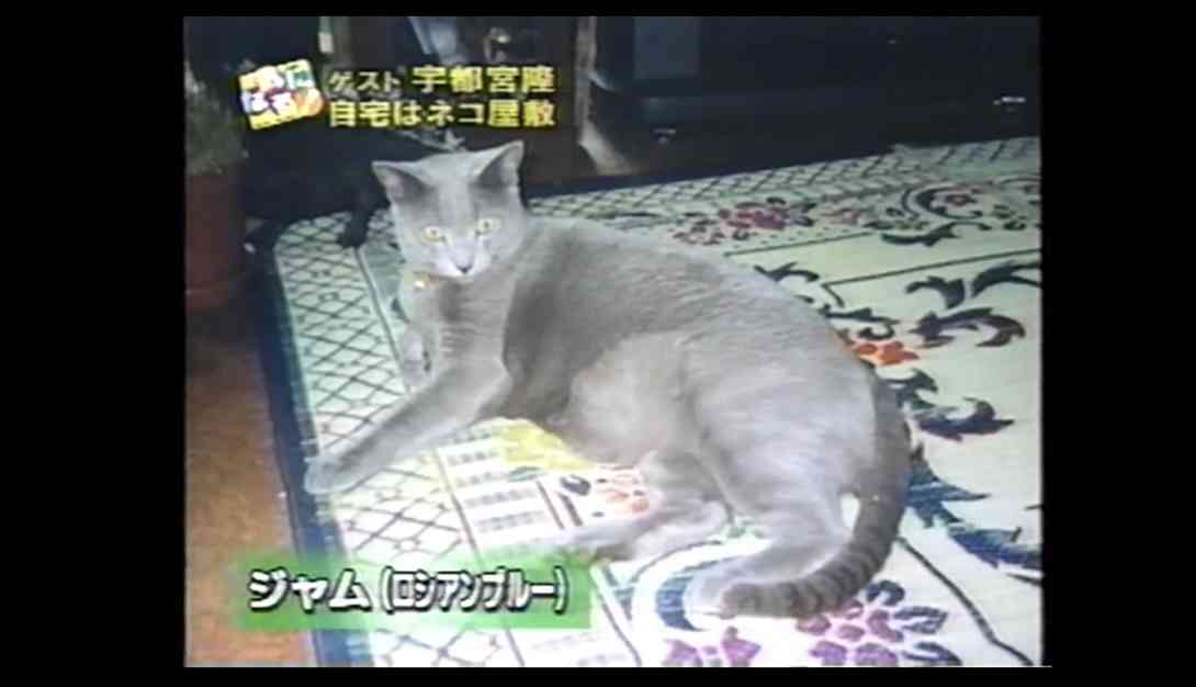 【定期】宇都宮隆さん語るトピ。
