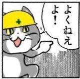 保護猫の里親募集に問い合わせしたら、部屋の間取りから年収、後見人、マイナンバーまで聞かれたうえに心を抉るような質問をされて言葉に詰まってしまった