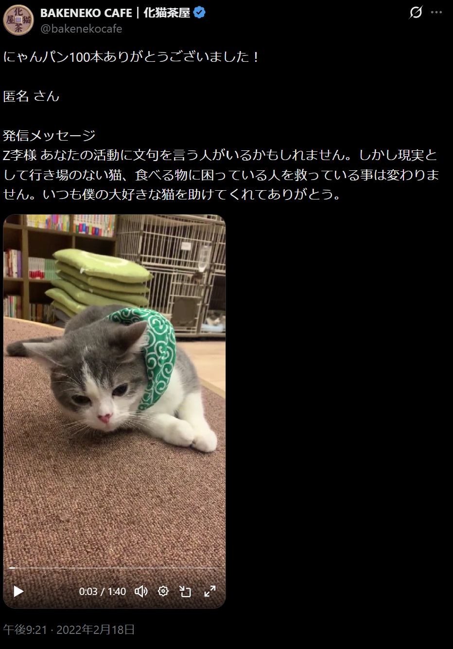 保護猫の里親募集に問い合わせしたら、部屋の間取りから年収、後見人、マイナンバーまで聞かれたうえに心を抉るような質問をされて言葉に詰まってしまった
