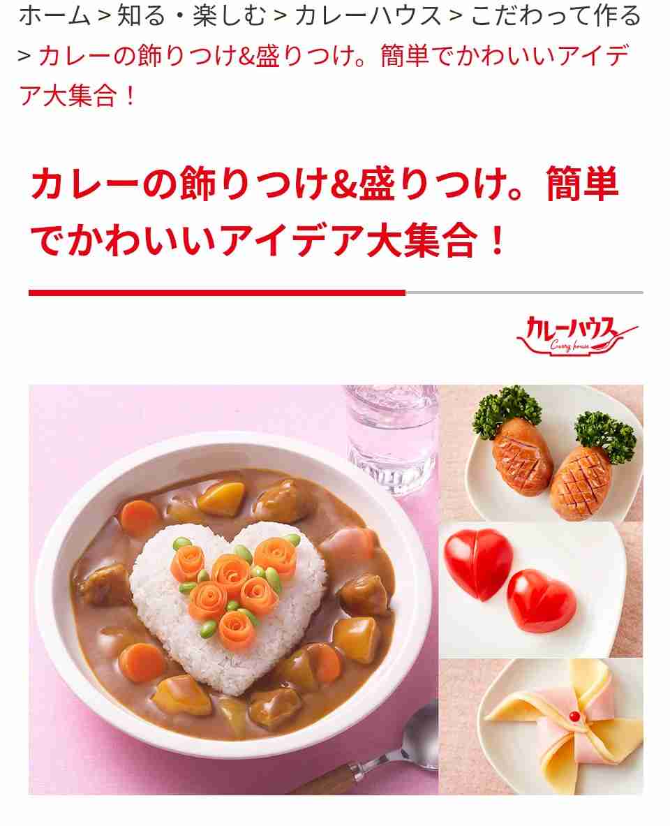 カレーライスの盛り方について