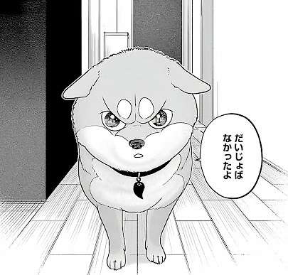 ペット目線で「飼い主さんに言いたいこと」