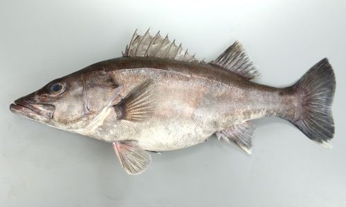 SOUL'd OUTを語りたい