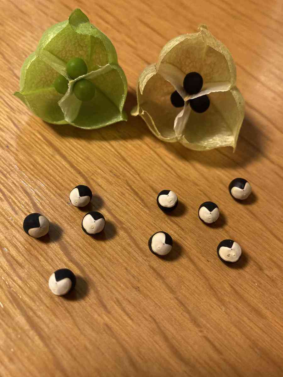 【宇宙】冥王星が好き