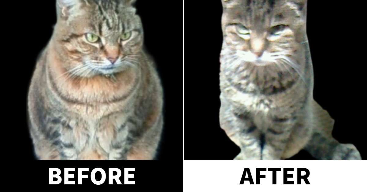 【暇つぶし】写真で一言