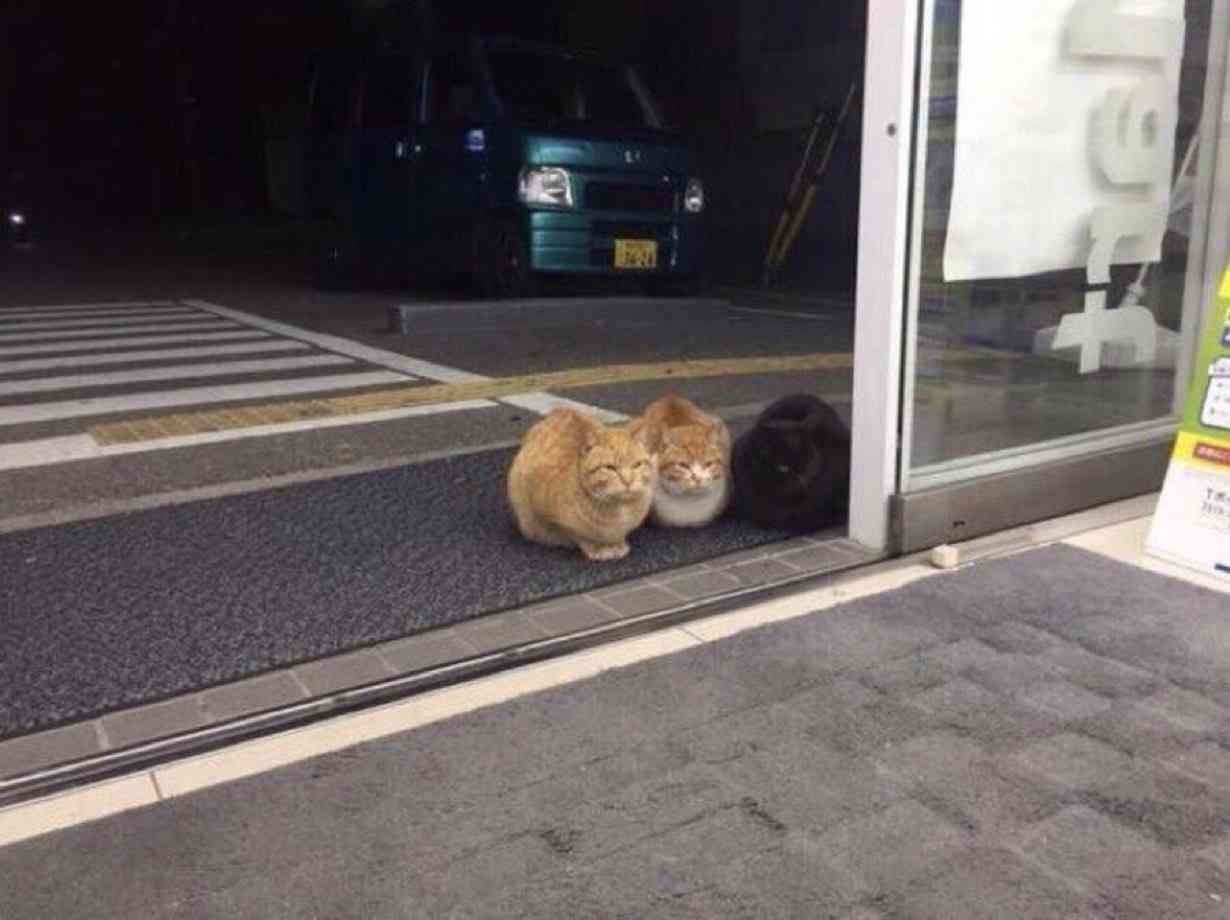 【暇つぶし】写真で一言