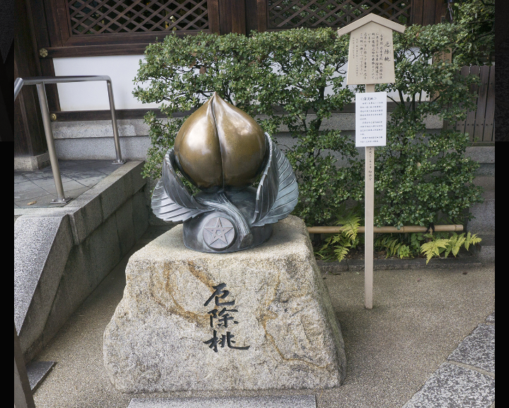 🍑桃が好き🍑