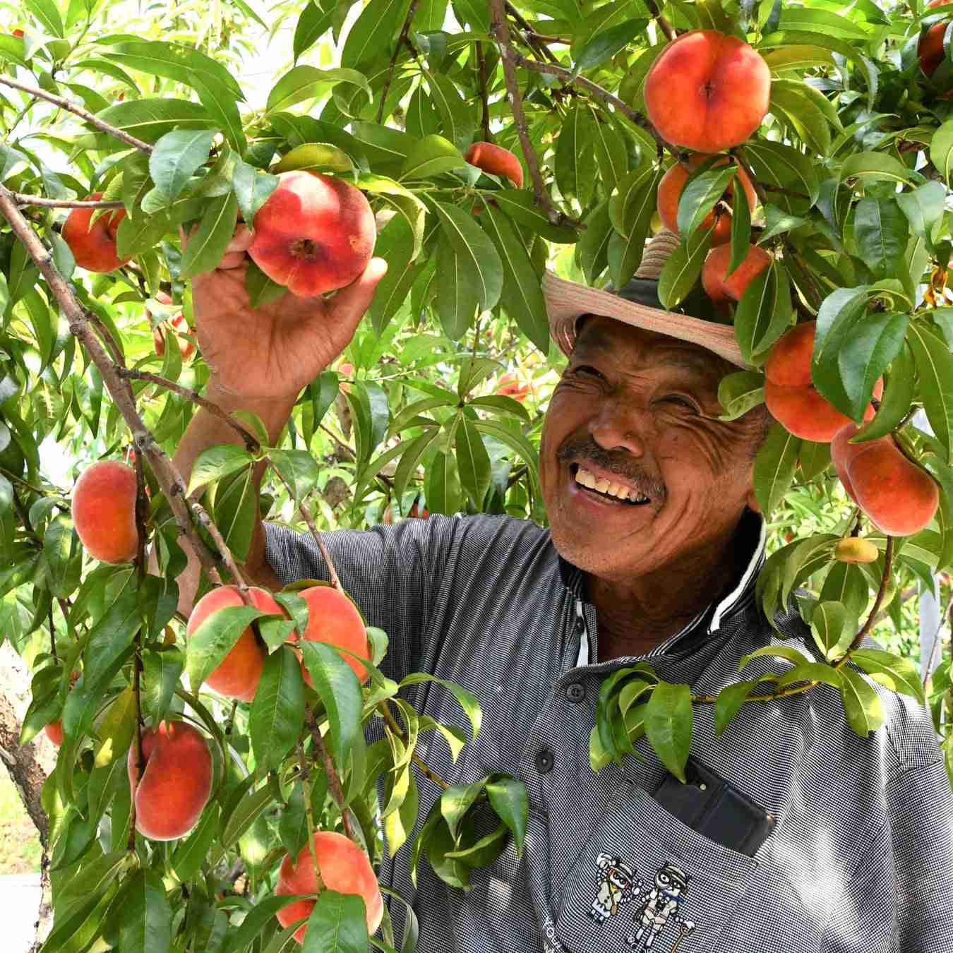 🍑桃が好き🍑