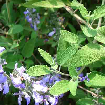 政治の話をしたくない人