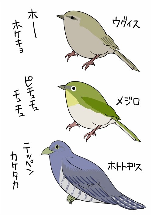 【駄トピ】鳴かぬなら○○○○○○ホトトギス