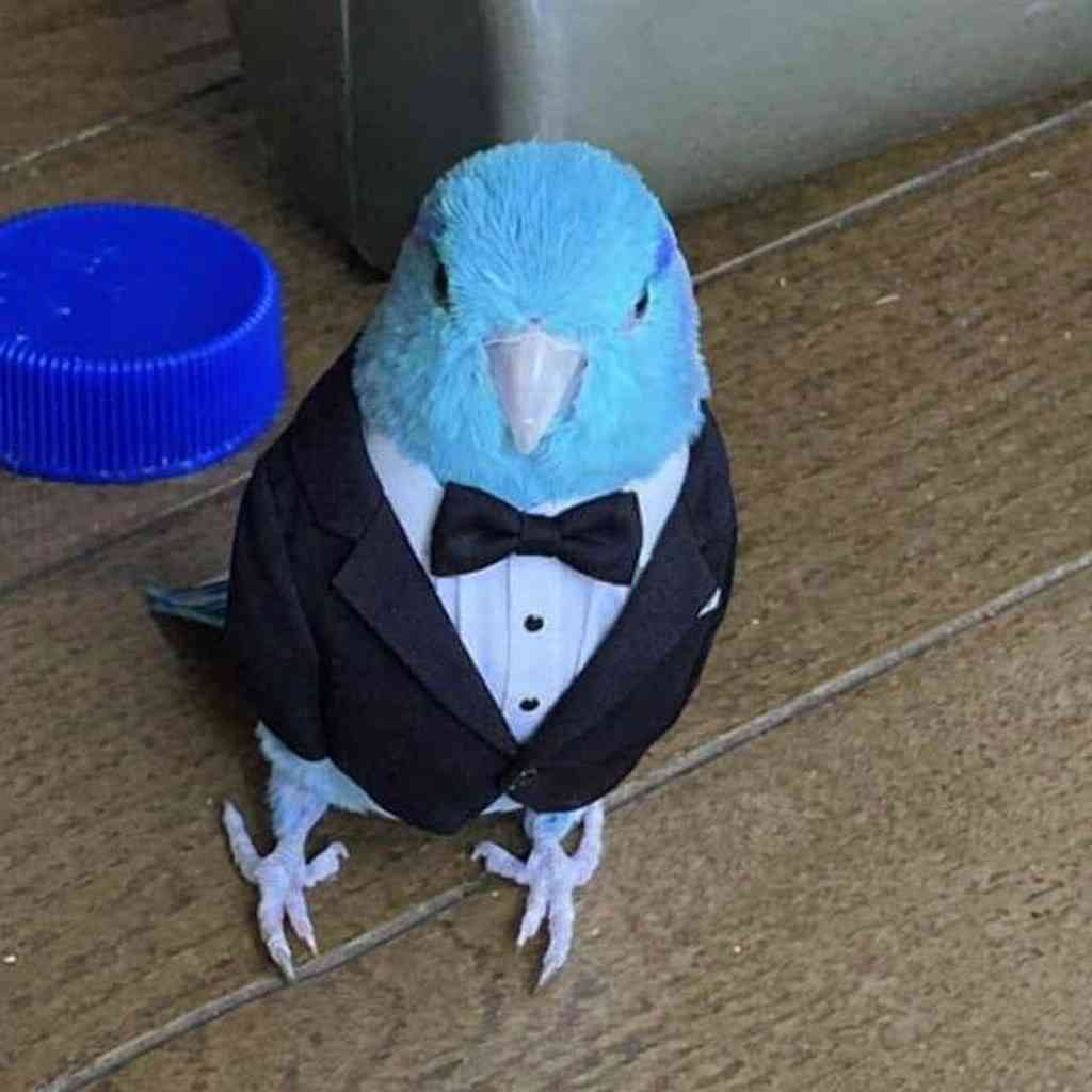 あまりお出かけする機会がない人のお出かけ服