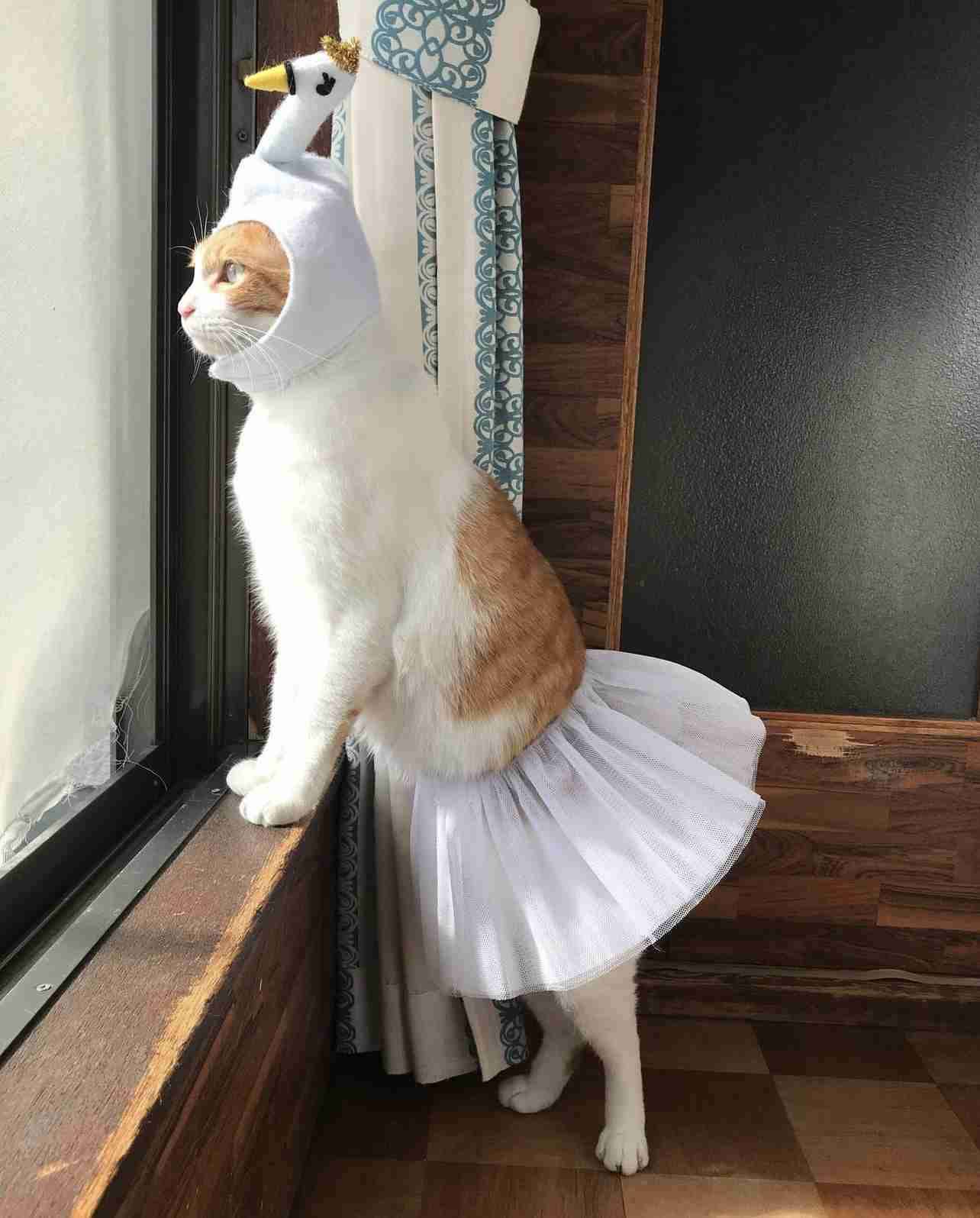 あまりお出かけする機会がない人のお出かけ服