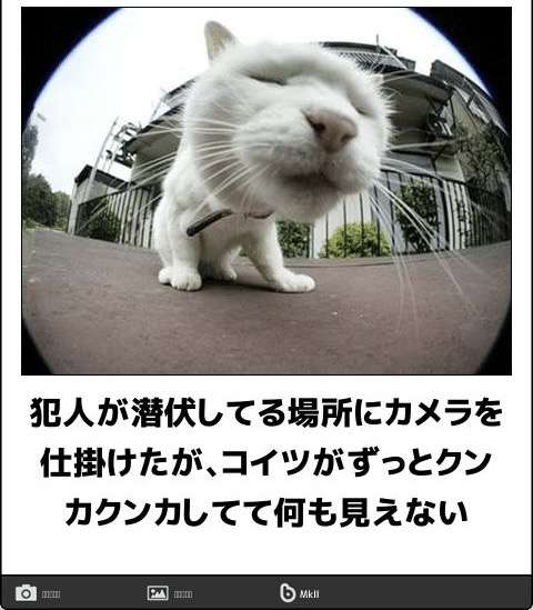 防犯カメラの情報交換