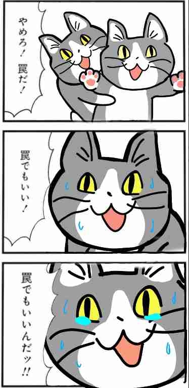 現場猫を見て癒されたい!Part10