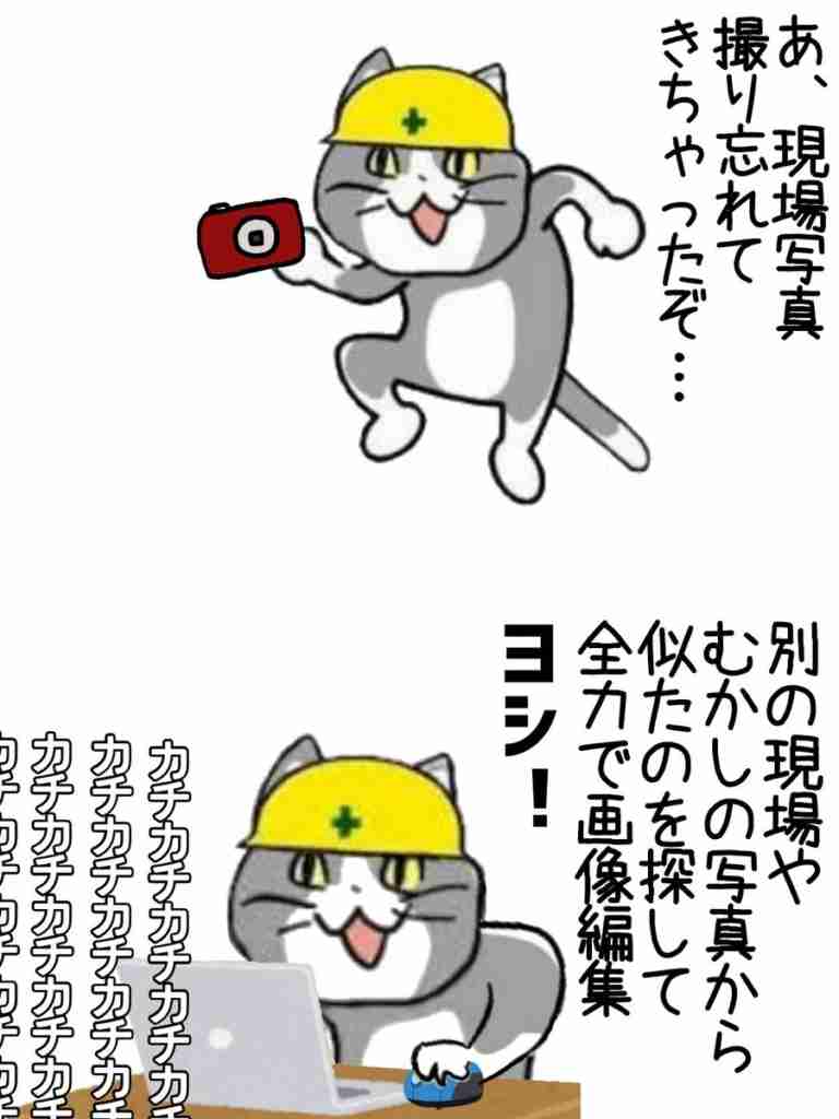 現場猫を見て癒されたい!Part10