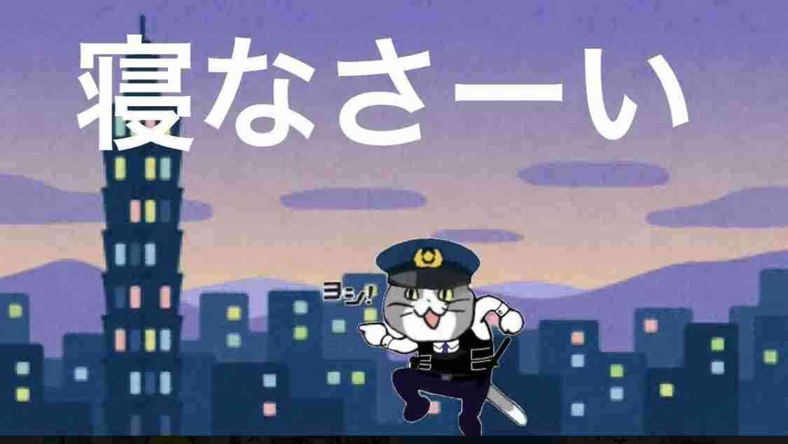 現場猫を見て癒されたい!Part10