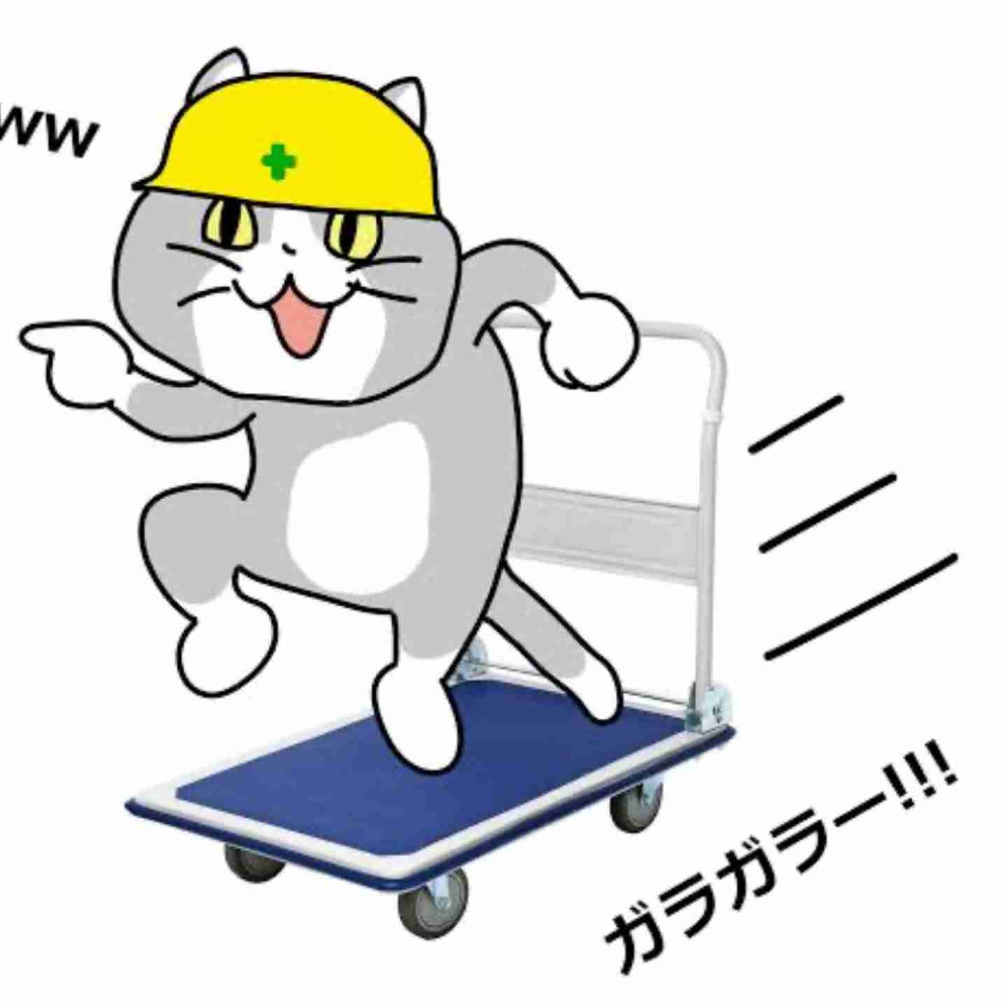 現場猫を見て癒されたい!Part10