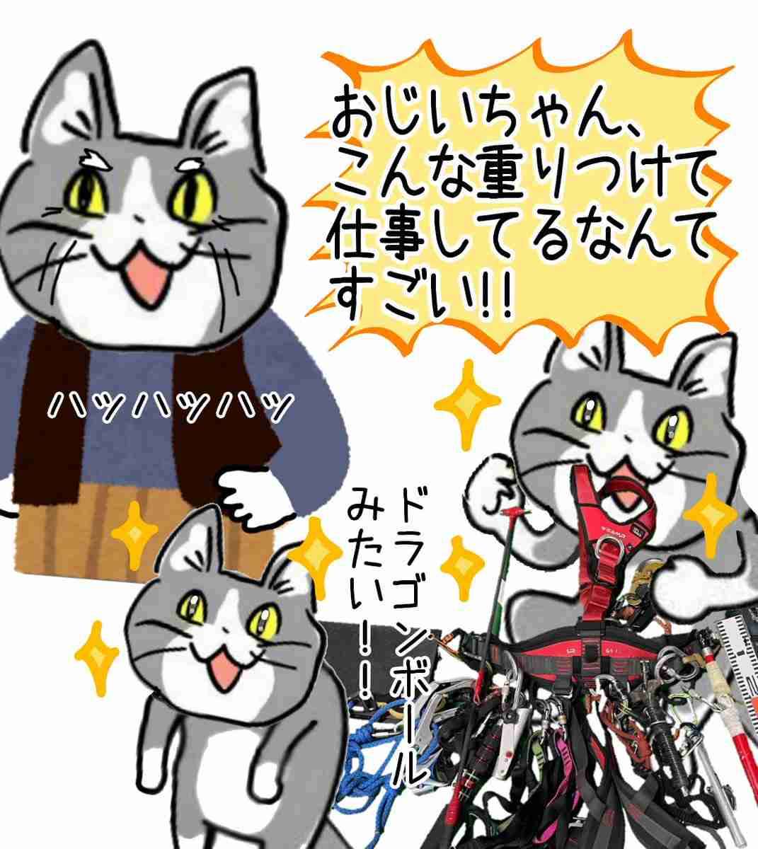 現場猫を見て癒されたい!Part10