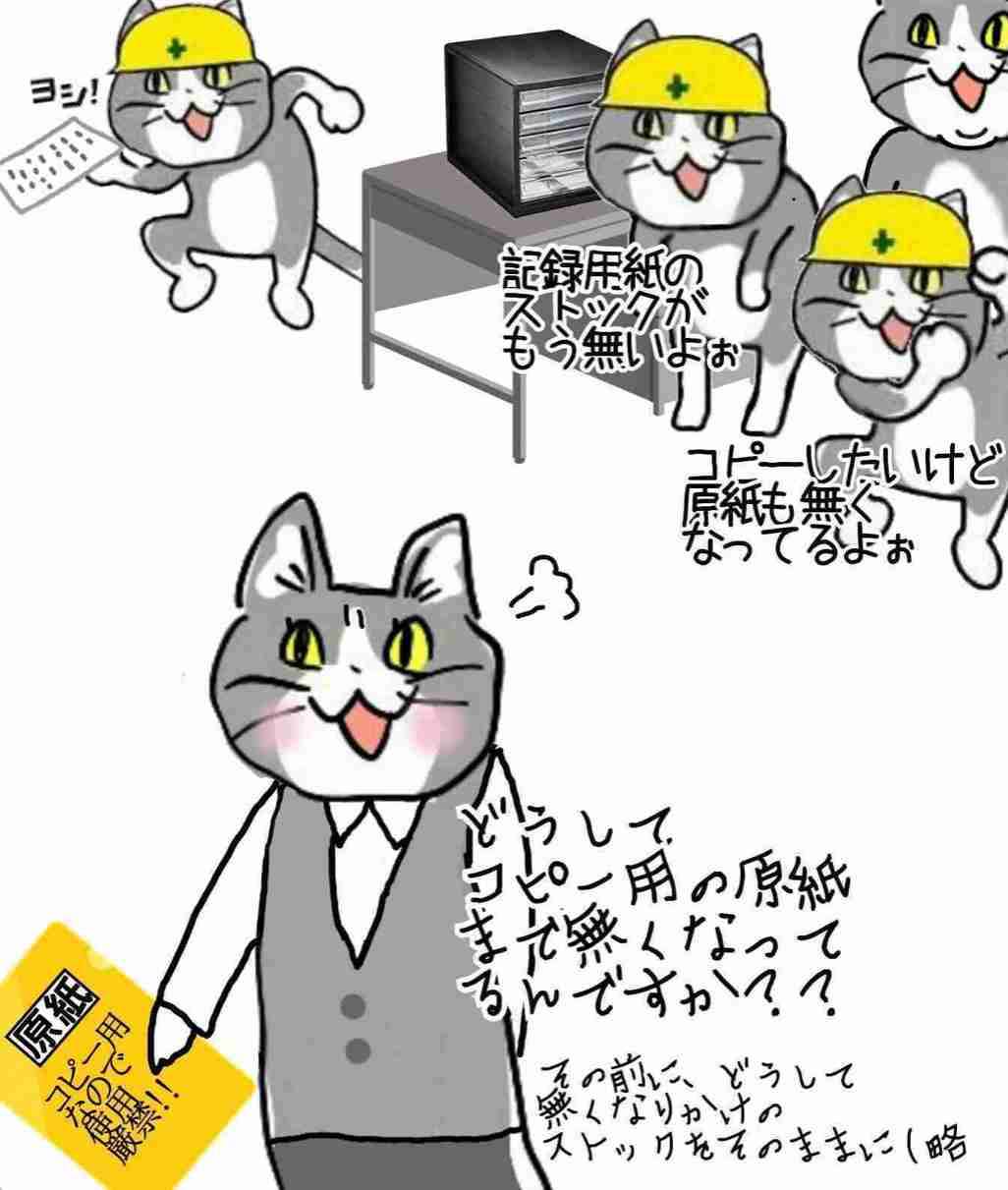 現場猫を見て癒されたい!Part10