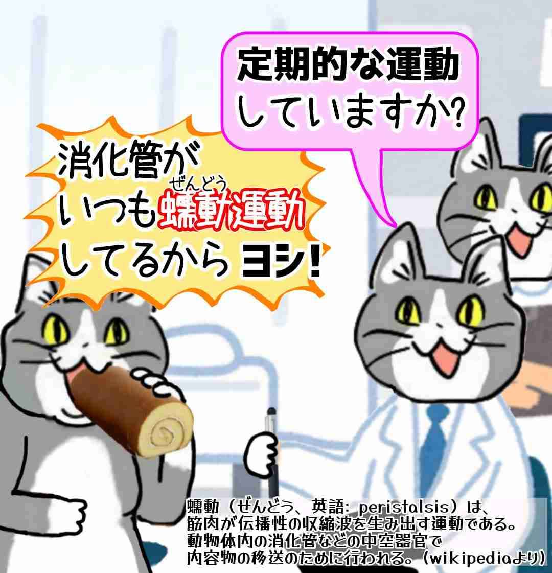 現場猫を見て癒されたい!Part10
