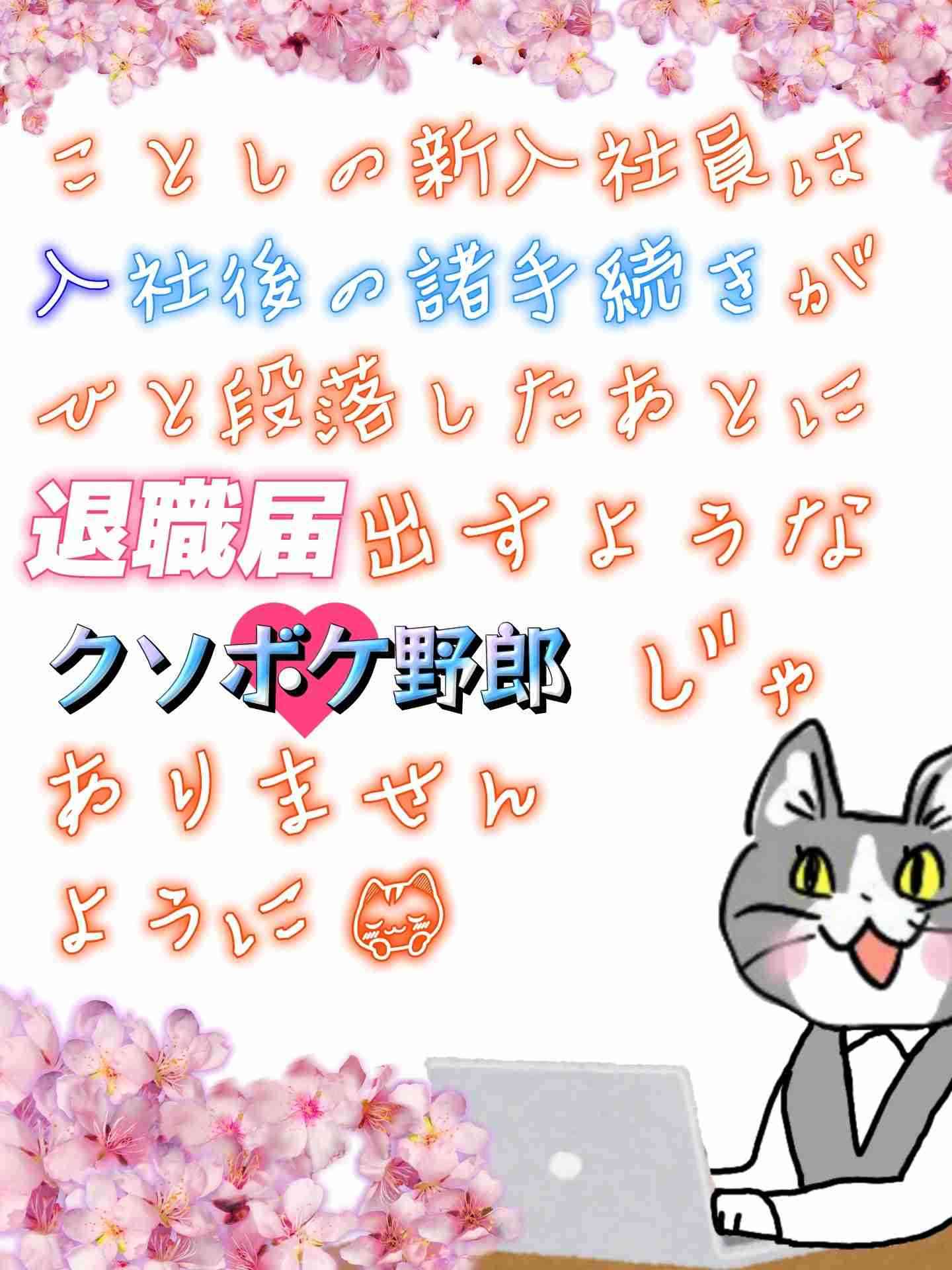 現場猫を見て癒されたい!Part10