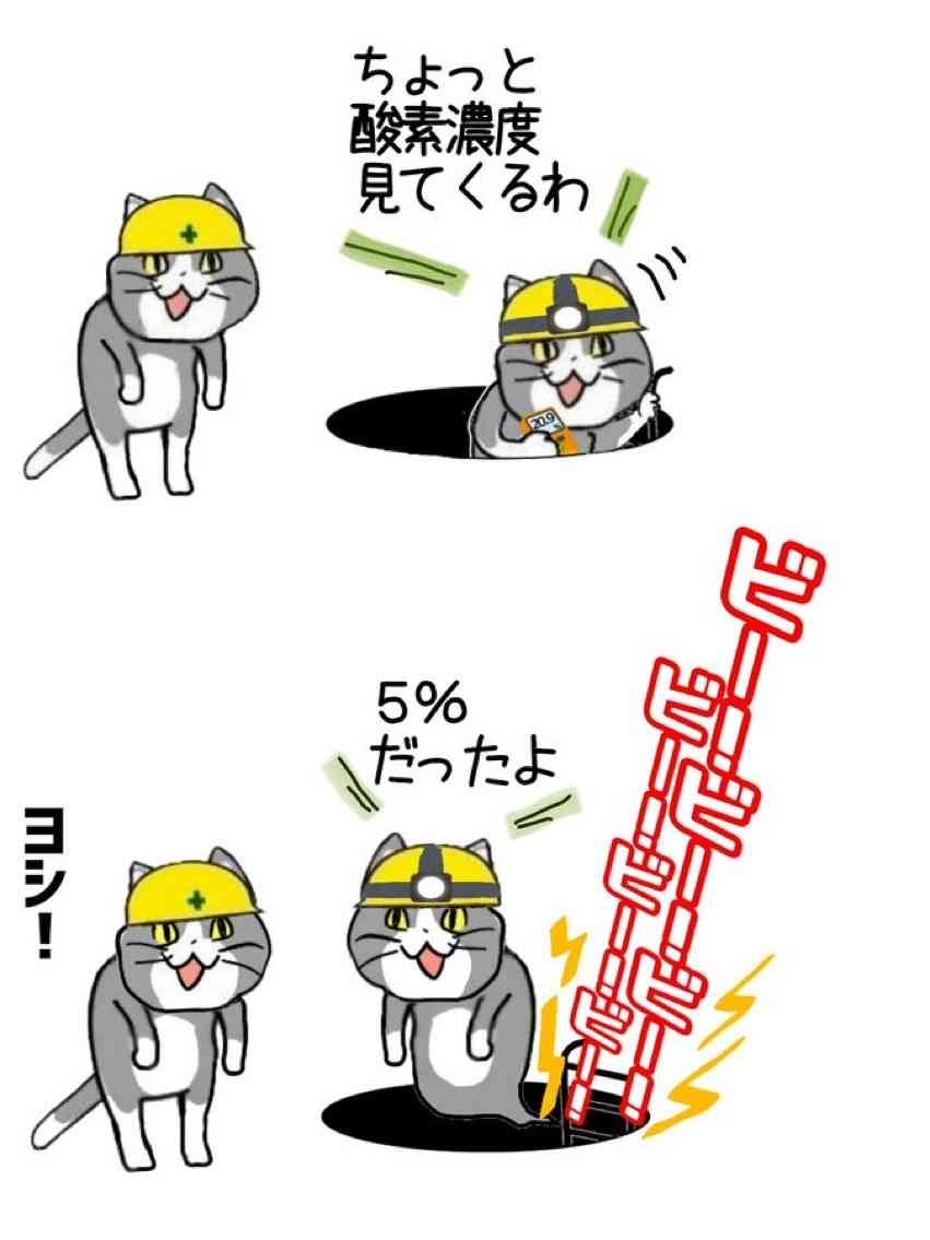 現場猫を見て癒されたい!Part10