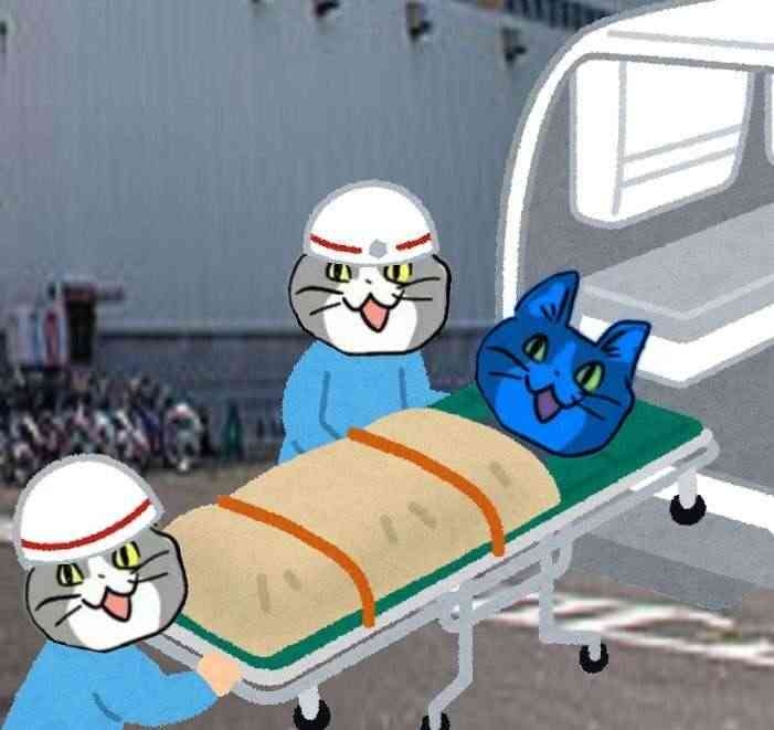 現場猫を見て癒されたい!Part10