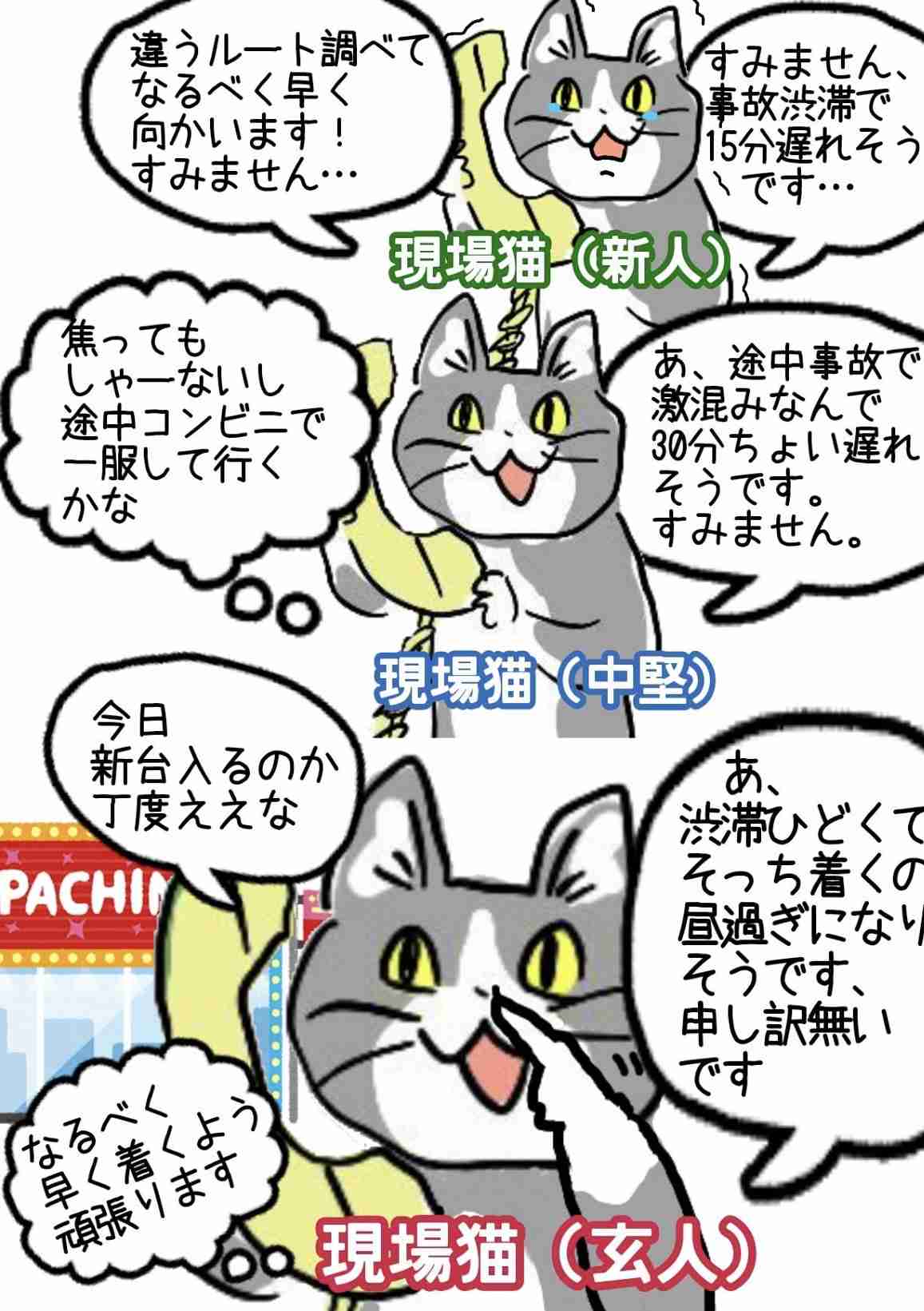 現場猫を見て癒されたい!Part10