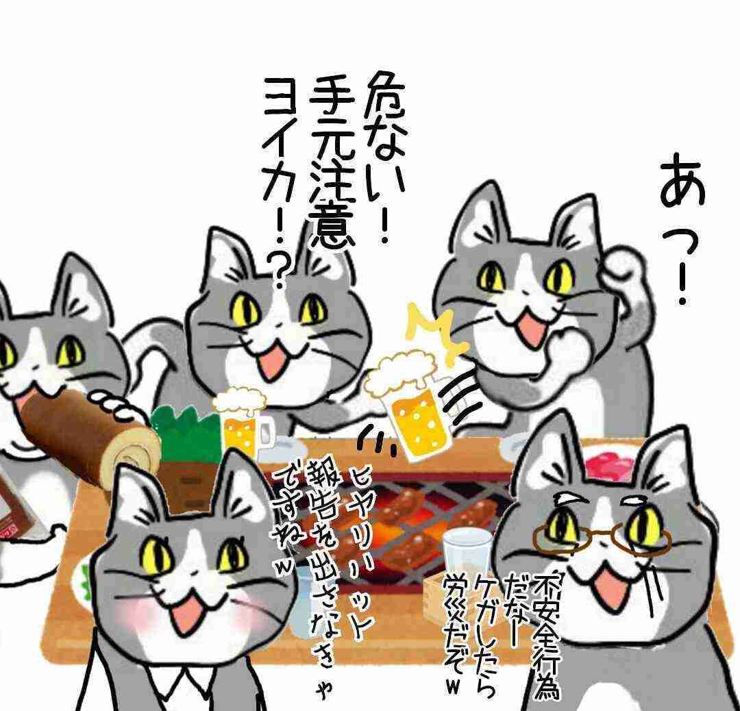 現場猫を見て癒されたい!Part10