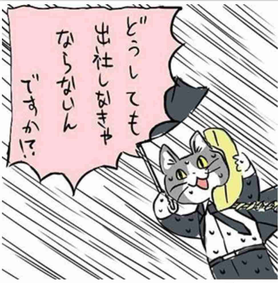 現場猫を見て癒されたい!Part10