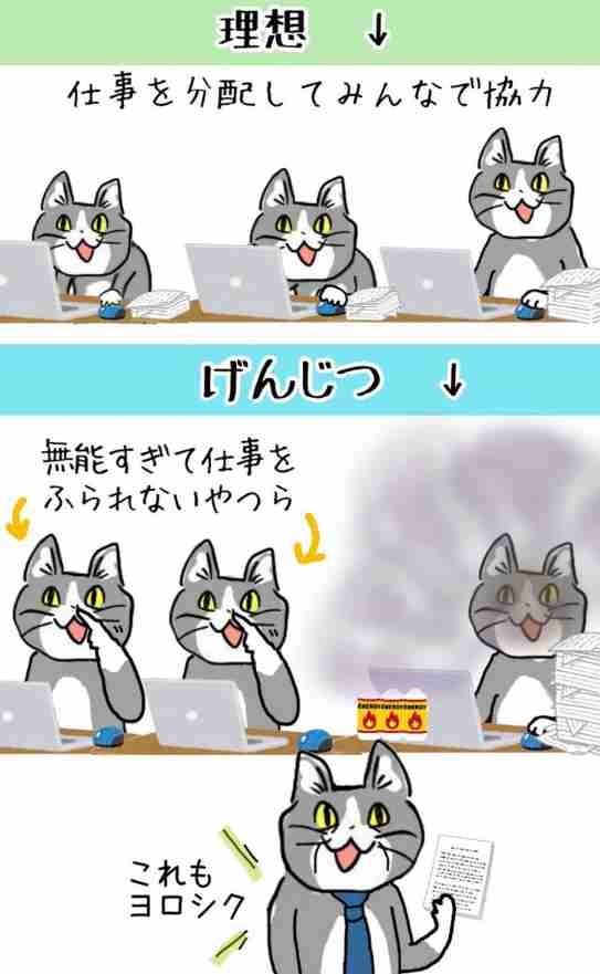 現場猫を見て癒されたい!Part10