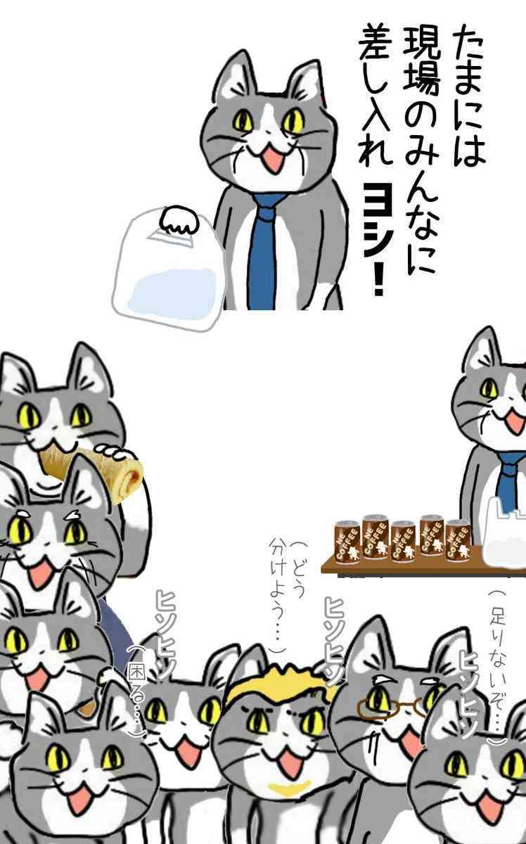 現場猫を見て癒されたい!Part10