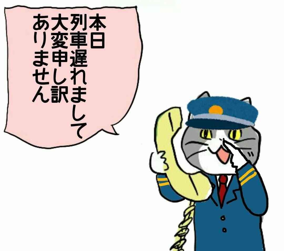 現場猫を見て癒されたい!Part10