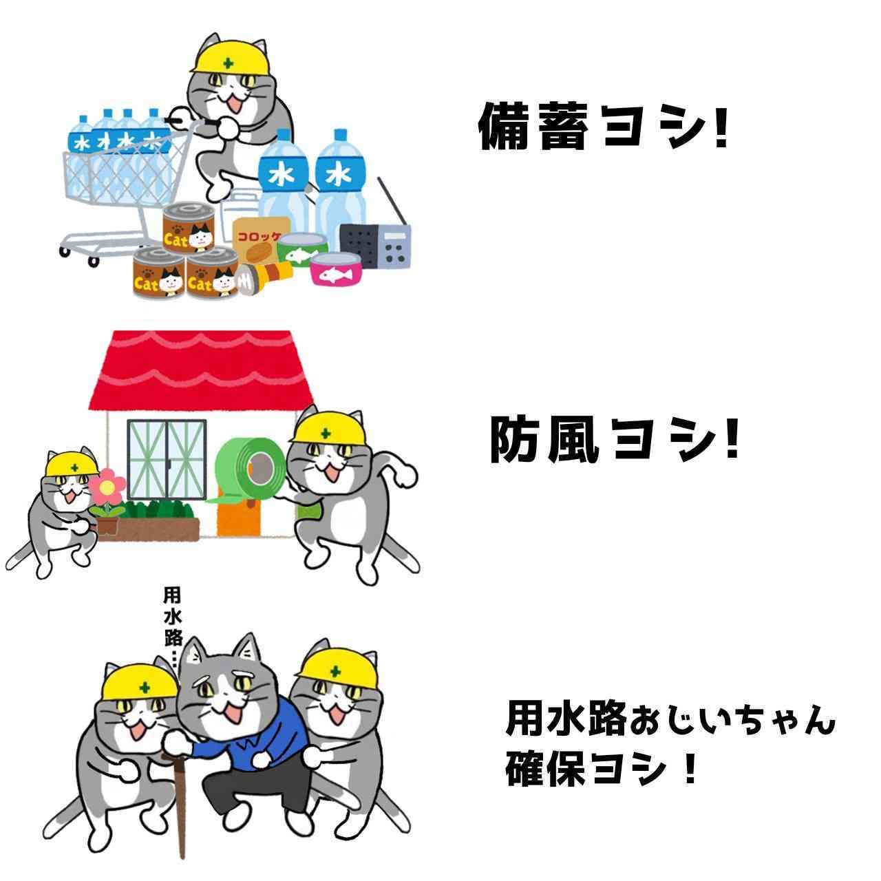 現場猫を見て癒されたい!Part10