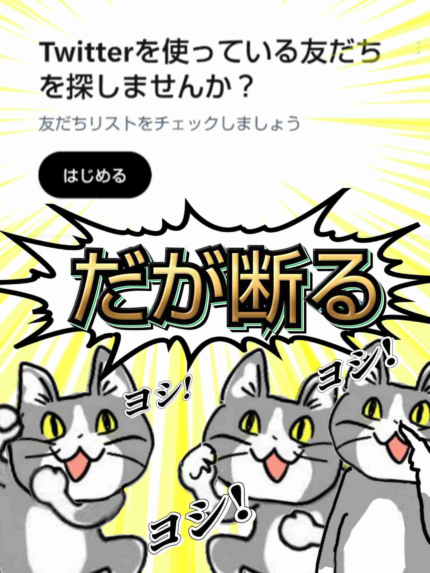 現場猫を見て癒されたい!Part10