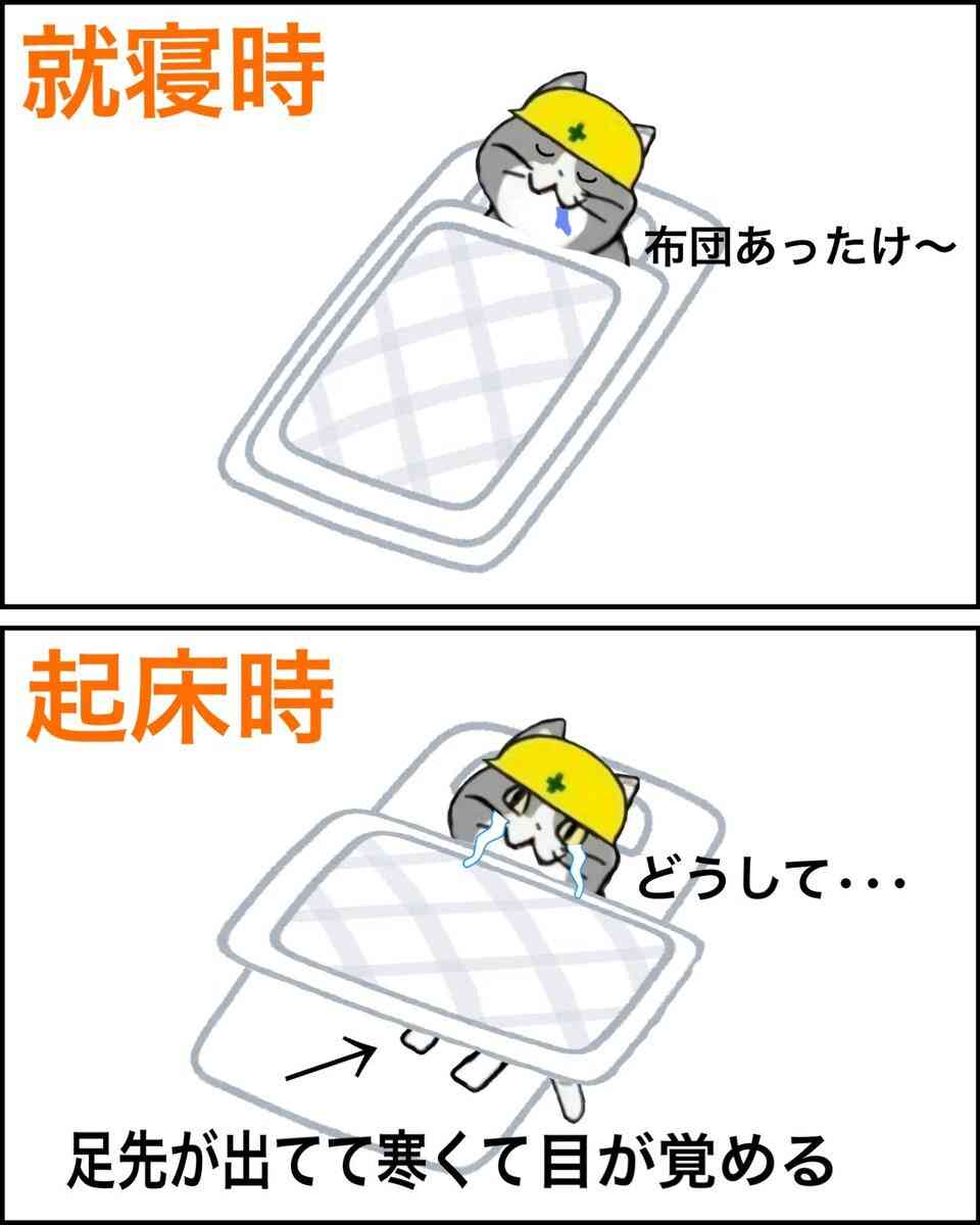 現場猫を見て癒されたい!Part10