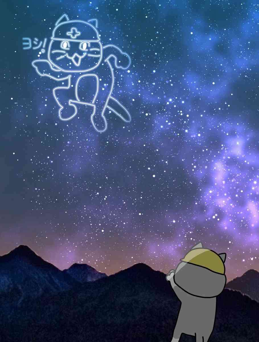 現場猫を見て癒されたい!Part10