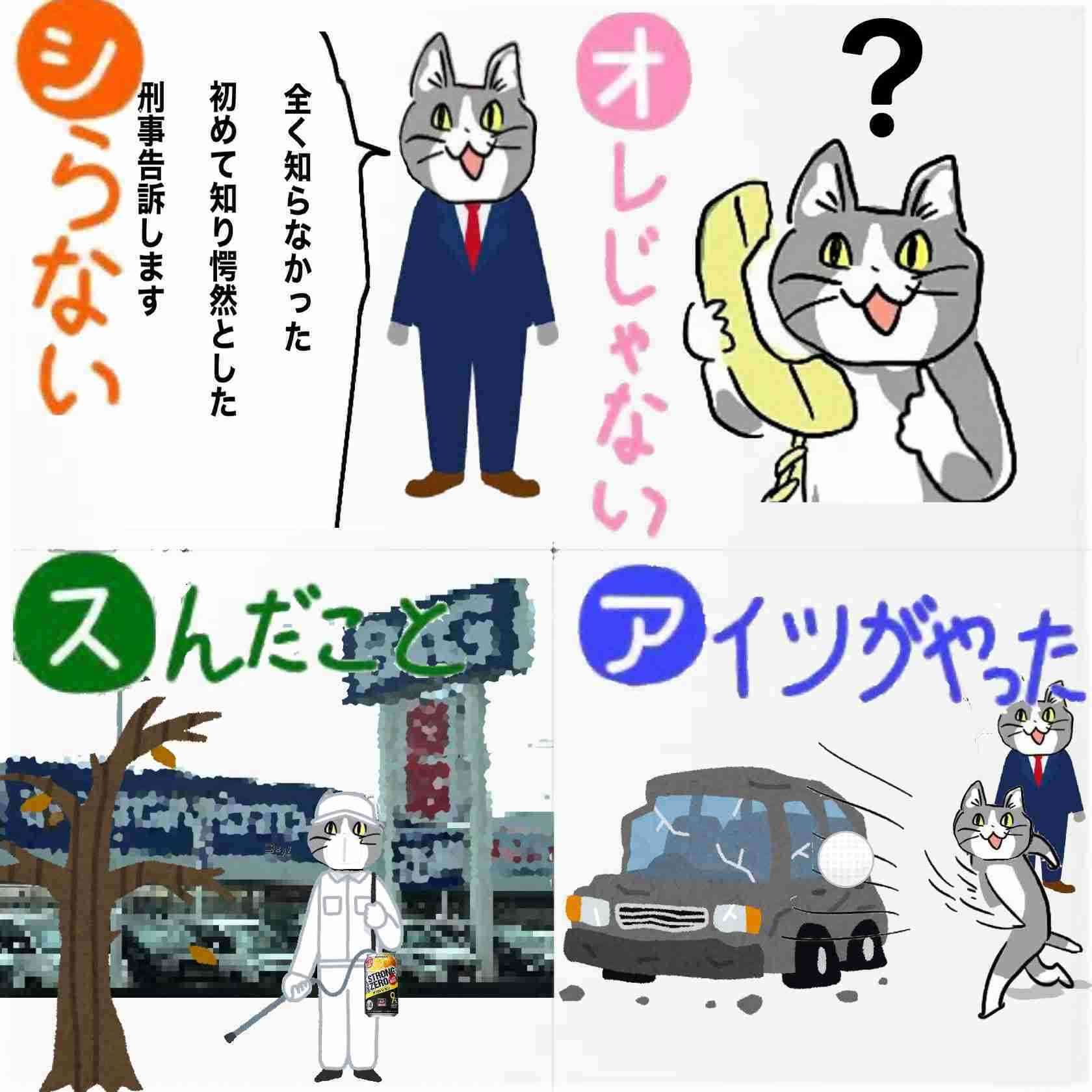現場猫を見て癒されたい!Part10