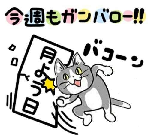 現場猫を見て癒されたい!Part10