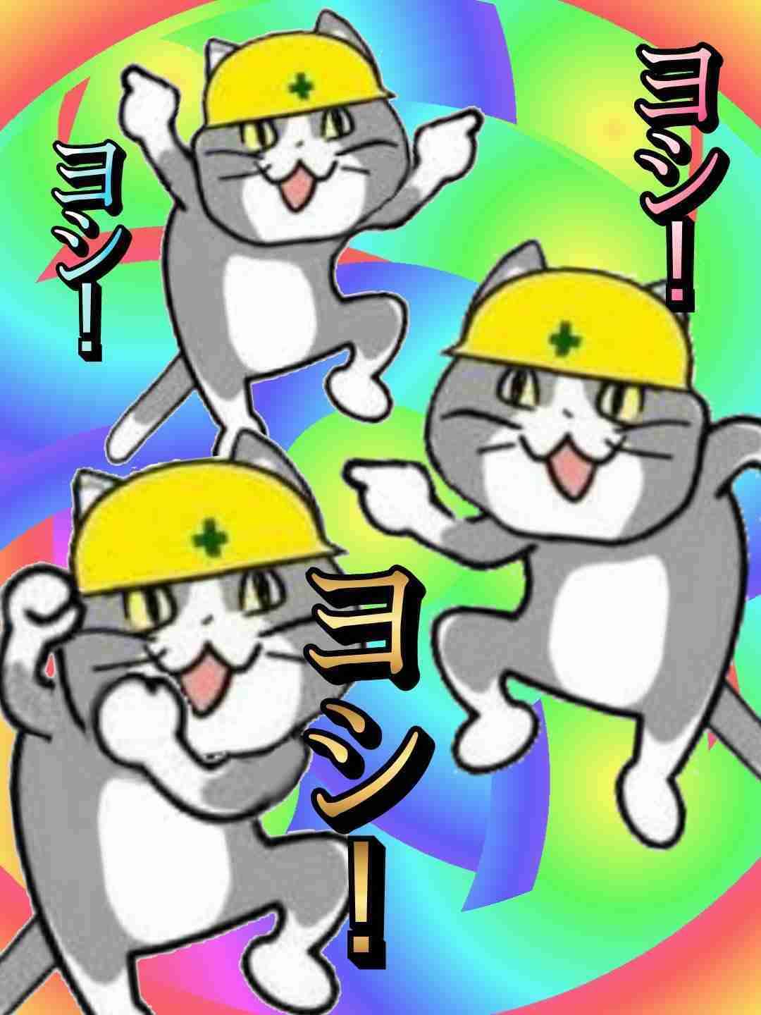 現場猫を見て癒されたい!Part10