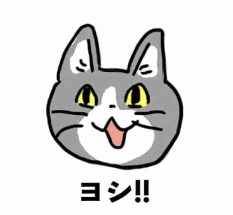 現場猫を見て癒されたい!Part10