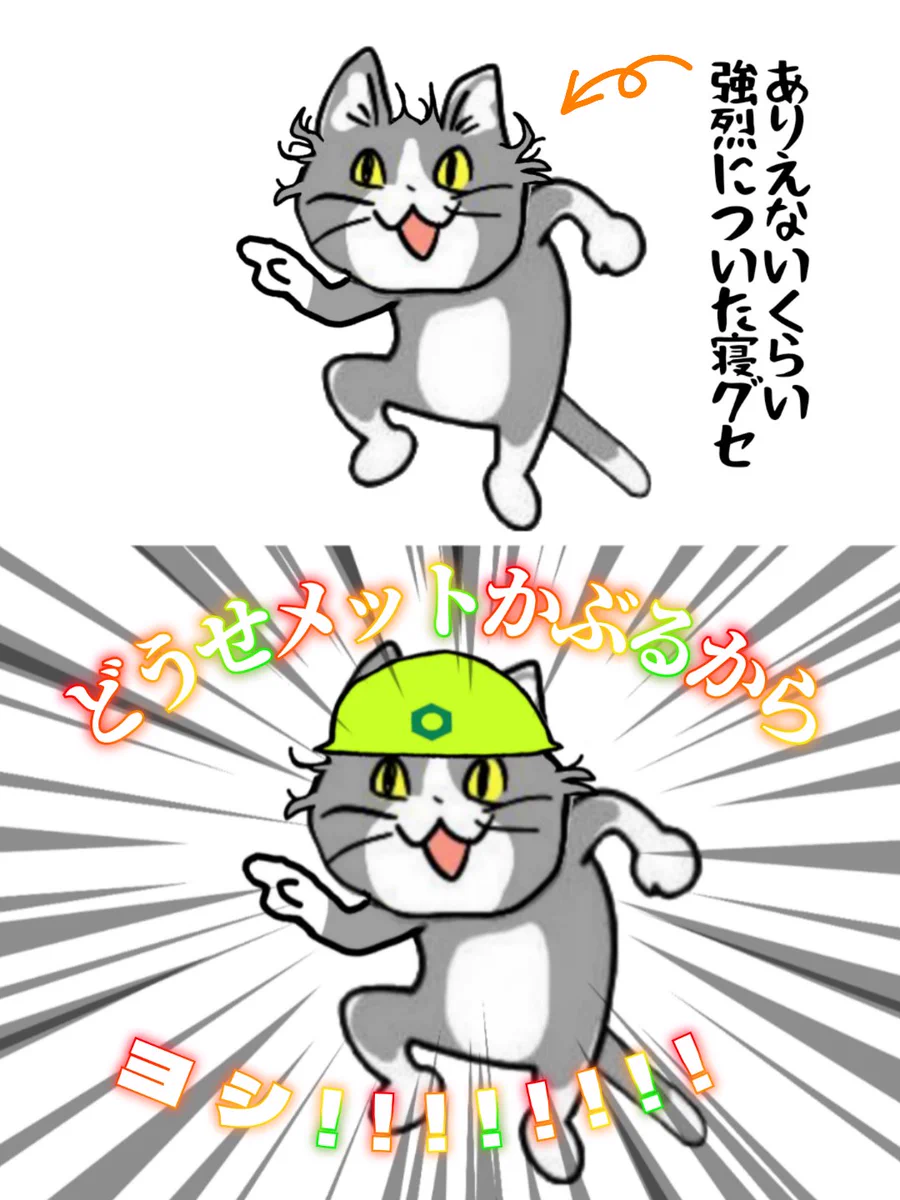 現場猫を見て癒されたい!Part10